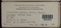 Image Associated With the Occurence